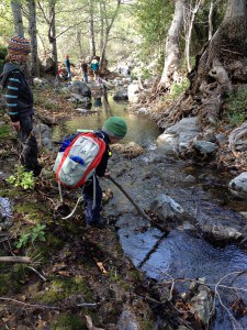Discovering Silverado Creek at Big Oak Canyon