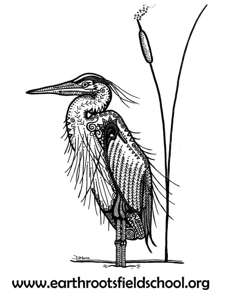 Heron drawing and activity page