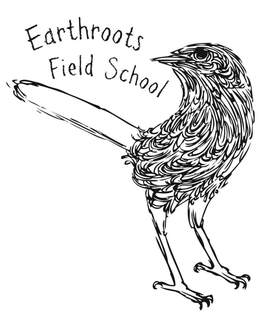 Earthroots bird drawing drawing and activity page