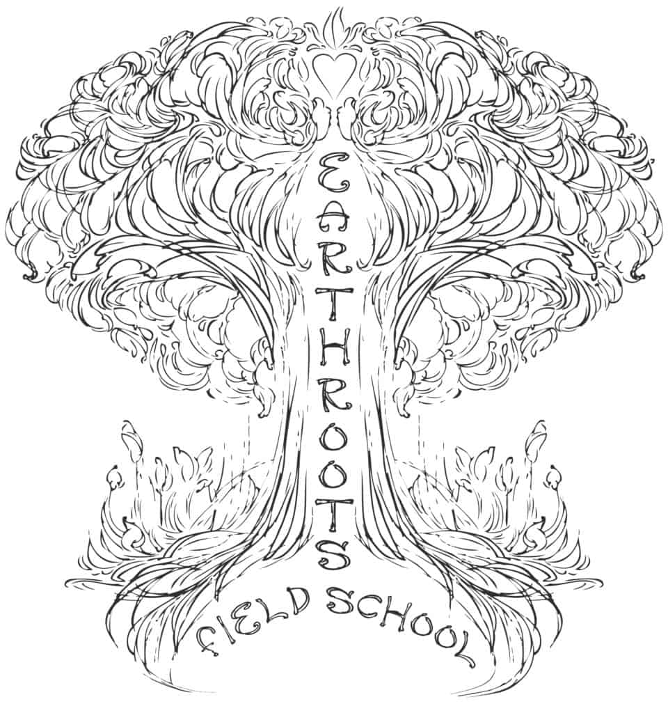 Earthroots tree drawing and activity page