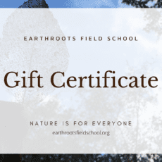 Long-Burn matches - Earthroots Field School