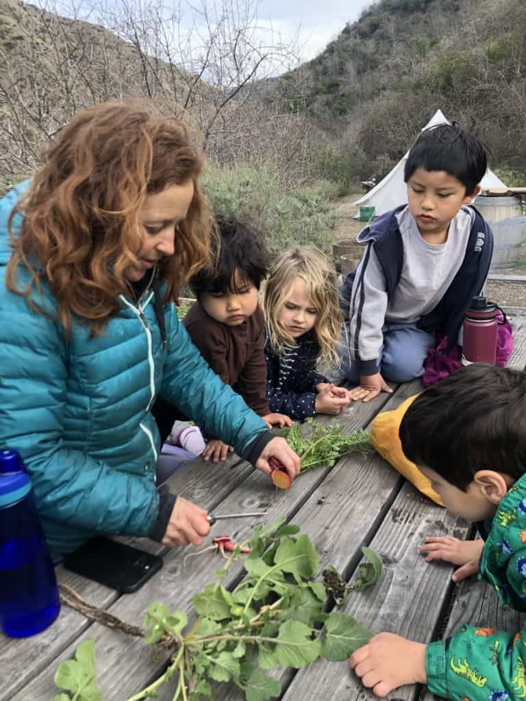 Earthroots Executive Director Jodi showing students local plants