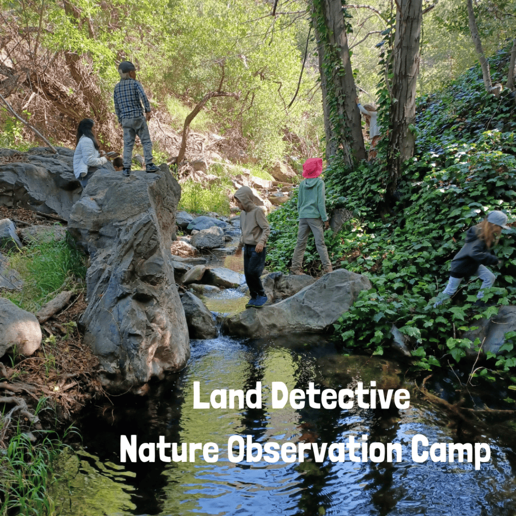 Land Detective Camp: kids playing in creek